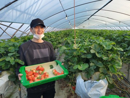 BTS in strawberry farm min yoongi