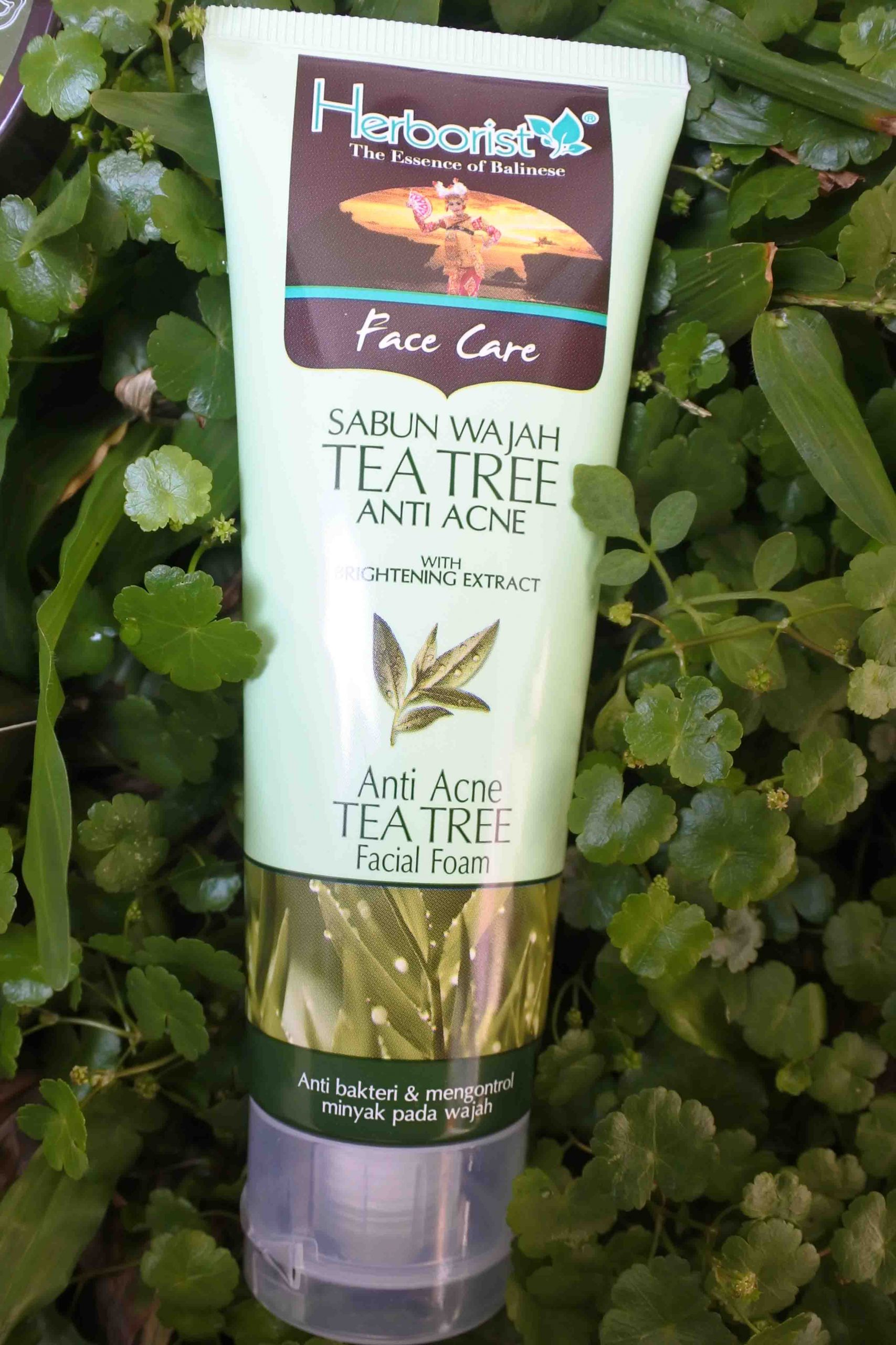 herborist tea tree facial foam