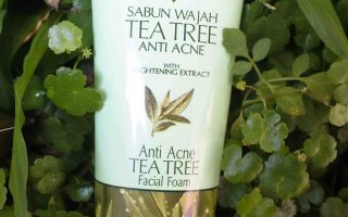 Herborist Tea Tree Anti Acne Facial Foam – First Impression
